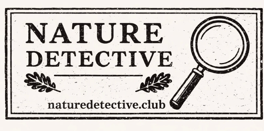 Nature Detective Club